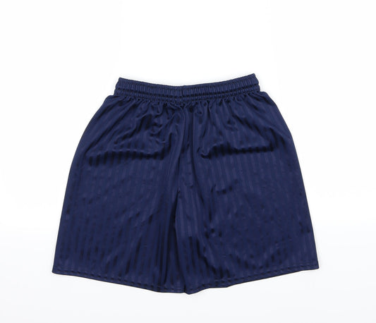 Preworn Mens Blue Striped Sweat Shorts Size S