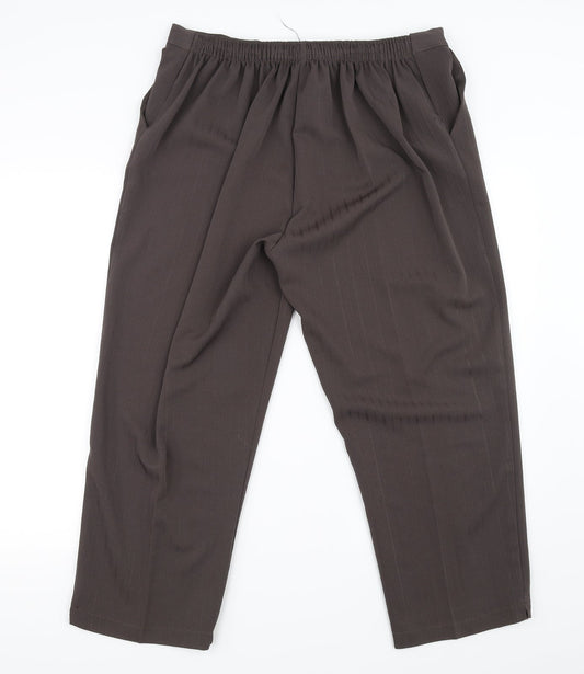 Preworn Womens Brown Trousers Size 22 in L25 in