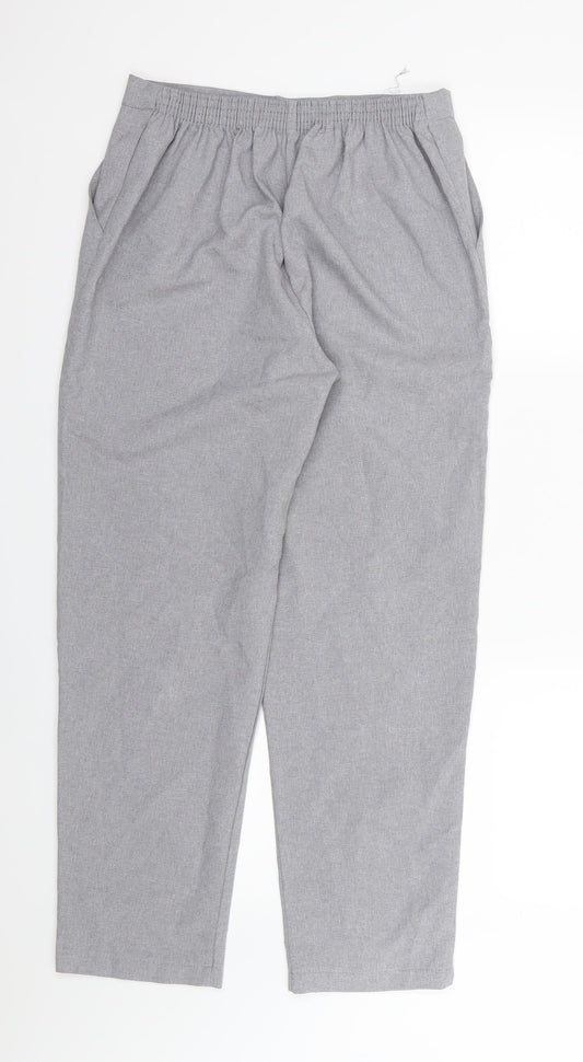 Emma Collection Womens Grey Rayon Trousers Size 14 L27 in