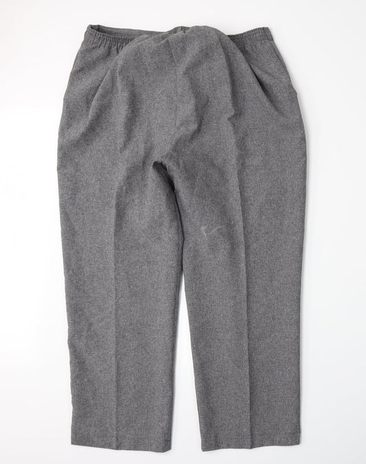 Emma Collection Womens Grey Trousers Size 20 L26 in