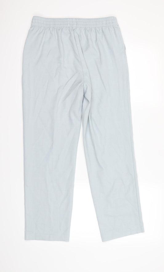 Classic Womens Blue Dress Pants Trousers Size 10 L27 in