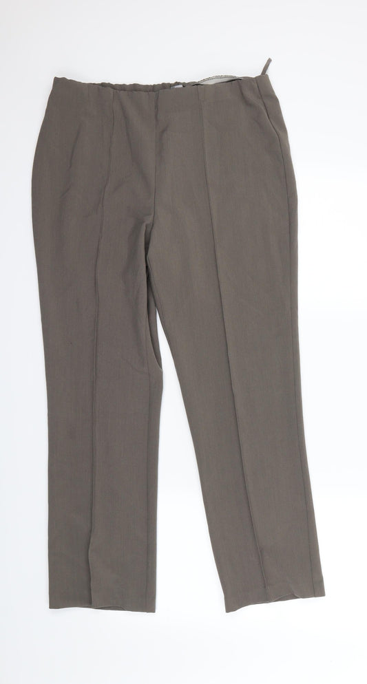BM Collection Womens Beige Dress Pants Trousers Size 12 L26.5 in