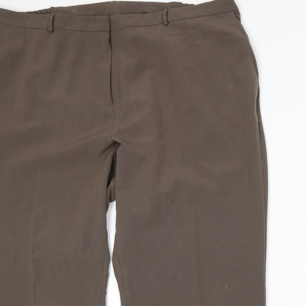 Anthology Womens Brown Trousers Size 24 L28 in
