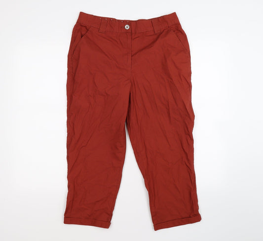 dorothy per Womens Brown Cropped Trousers Size 10 L20 in