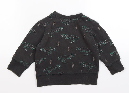 cotton kids Boys Grey Jersey Pullover Jumper Size 12-18 Months - dinosaurs