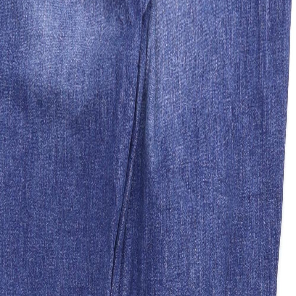 Denim & Dry Goods Womens Blue Straight Jeans Size 31 L34 in