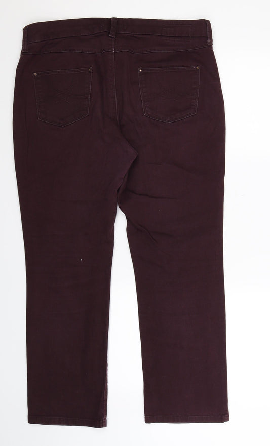 Preworn Womens Brown Denim Straight Jeans Size 36 in L27 in