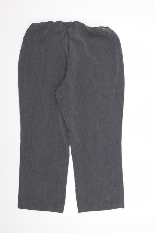 BM Casual Womens Grey Rayon Dress Pants Trousers Size 14 L23 in