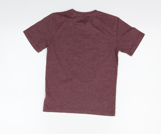 Debehams Girls Purple Basic T-Shirt Size 6-7 Years - DOG IN CAR