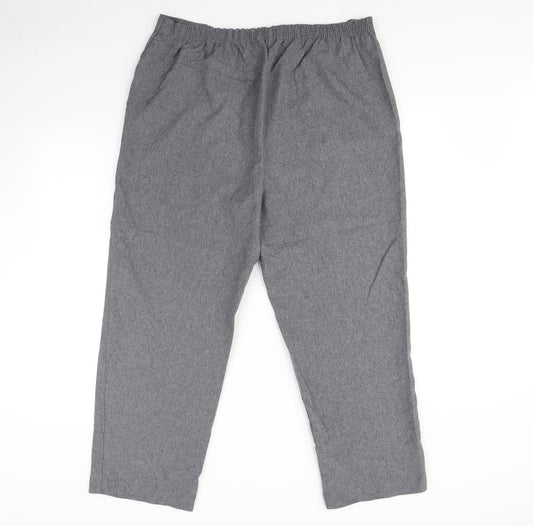 Bm collection Womens Grey Dress Pants Trousers Size 18 L30 in