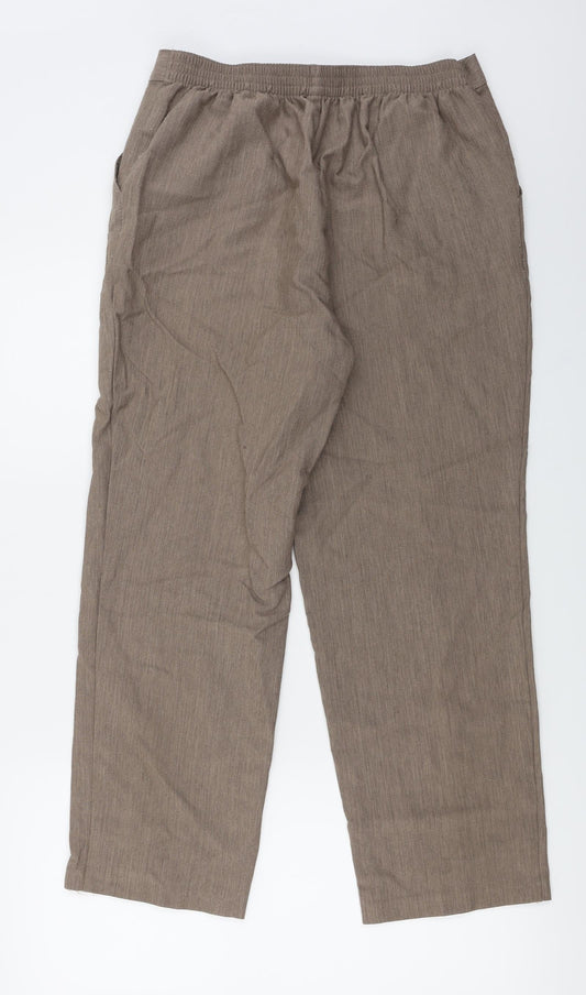Marks and Spencer Womens Brown Trousers Size 14 L24 in