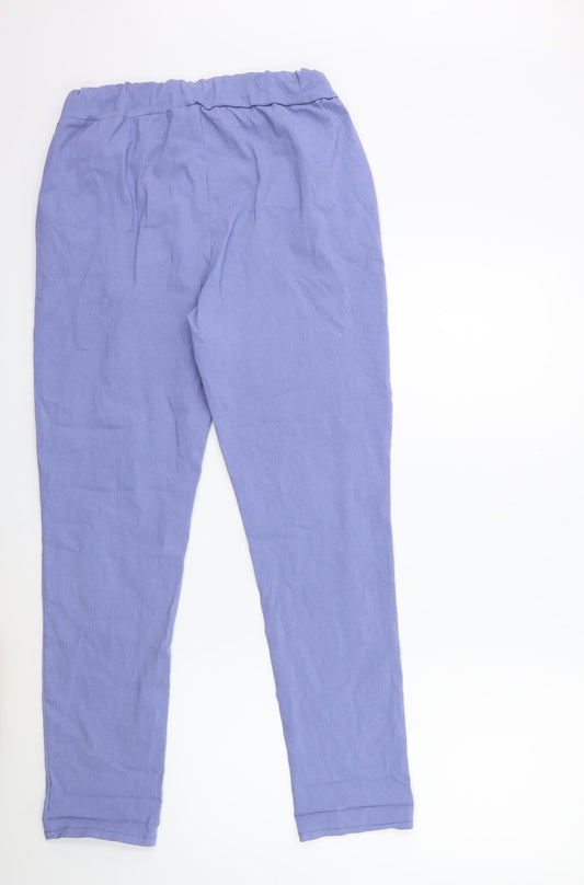 Preworn Womens Blue Trousers Size 30 in L29 in