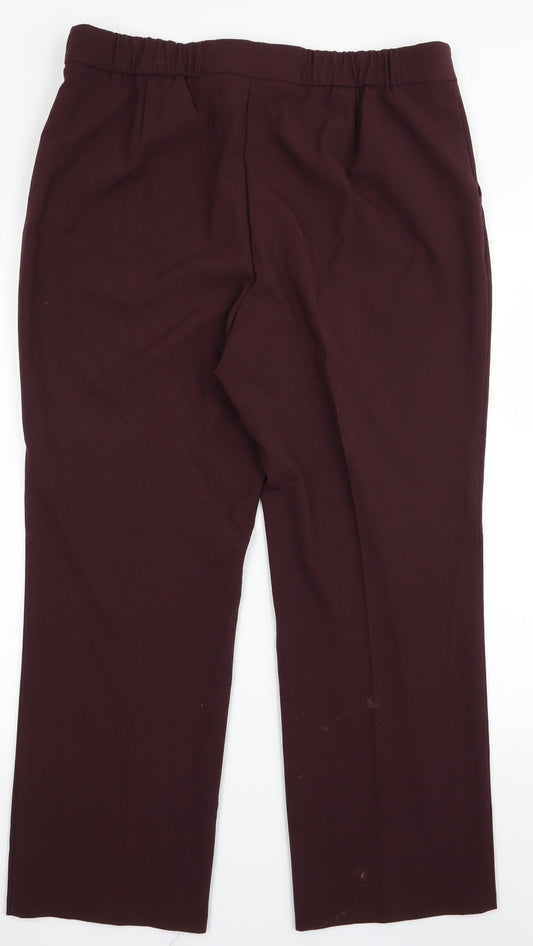 Classic Womens Brown Trousers Size 16 L23 in