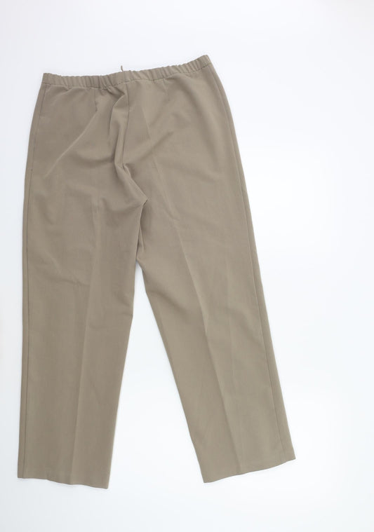 Preworn Womens Brown Trousers Size 32 in L28 in