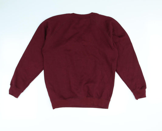 True Form Mens Purple Pullover Jumper Size XS