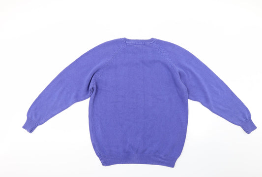 paolucci Mens Blue Pullover Jumper Size M