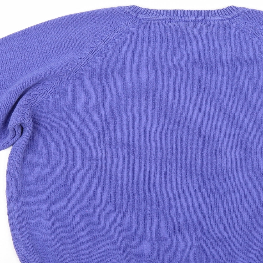 paolucci Mens Blue Pullover Jumper Size M