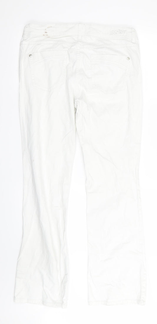 SPRIT CASUAL DENIM Womens White Straight Jeans Size 32 in L33 in