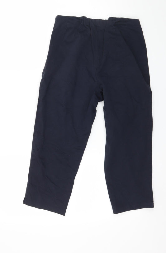 Marks and Spencer Womens Blue Trousers Size 10 L20 in