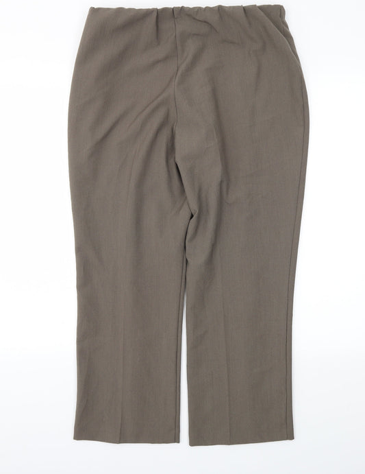 BM Womens Brown Trousers Size 12 L24 in