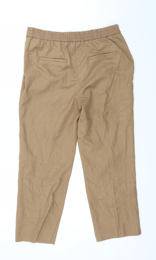 Zara Womens Brown Trousers Size 34 in L26 in
