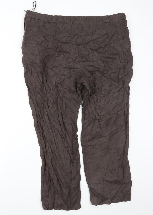 Wall Womens Brown Trousers Size 40 in L26 in