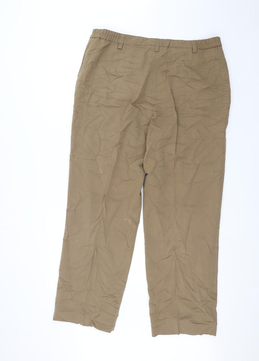 Wichele Womens Brown Trousers Size 20 L27 in