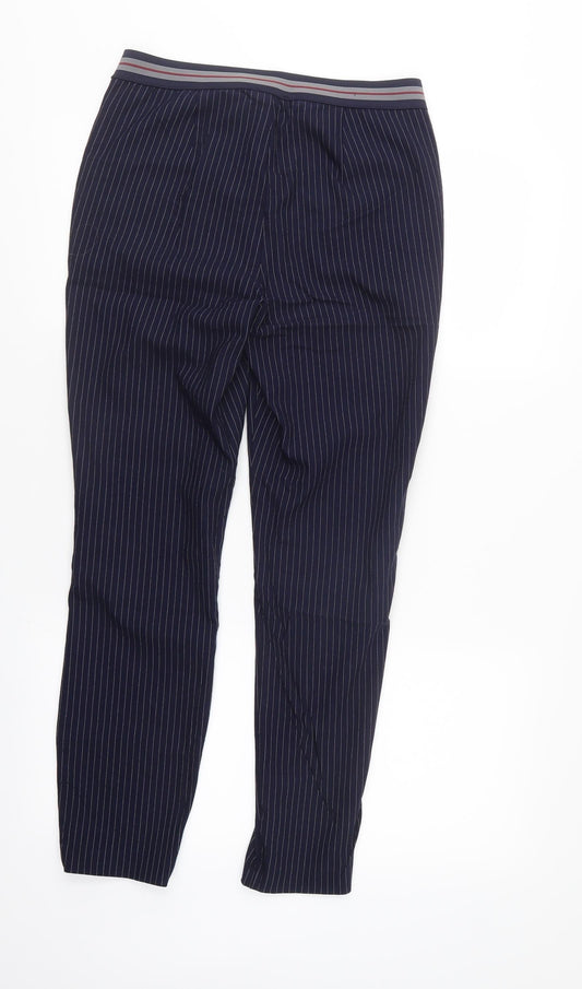 RESERVED Womens Blue Striped Trousers Size 10 L27 in - elastic waist