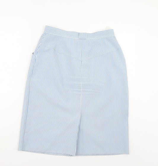 Preworn Womens Blue Striped A-Line Skirt Size 30 in