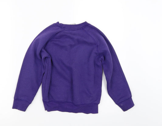 westex Boys Purple Pullover Sweatshirt Size 5-6 Years