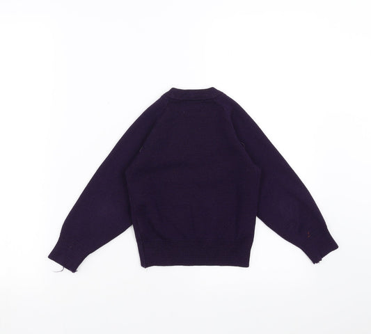 charles Kirk Boys Purple Pullover Jumper Size 3-4 Years