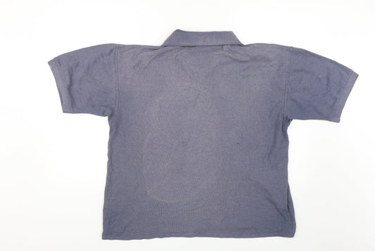 Preworn Mens Blue Polo Size L