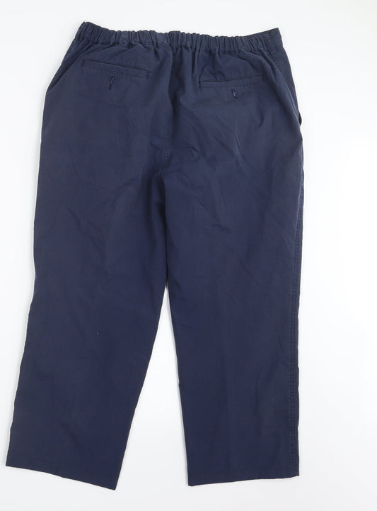 Essentials Womens Blue Trousers Size 34 in L24 in