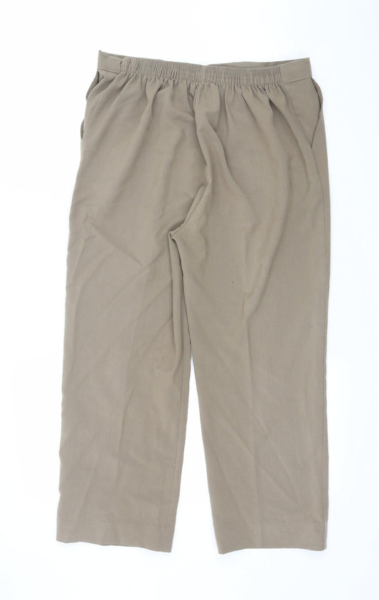 Preworn Womens Brown Trousers Size 32 in L23 in