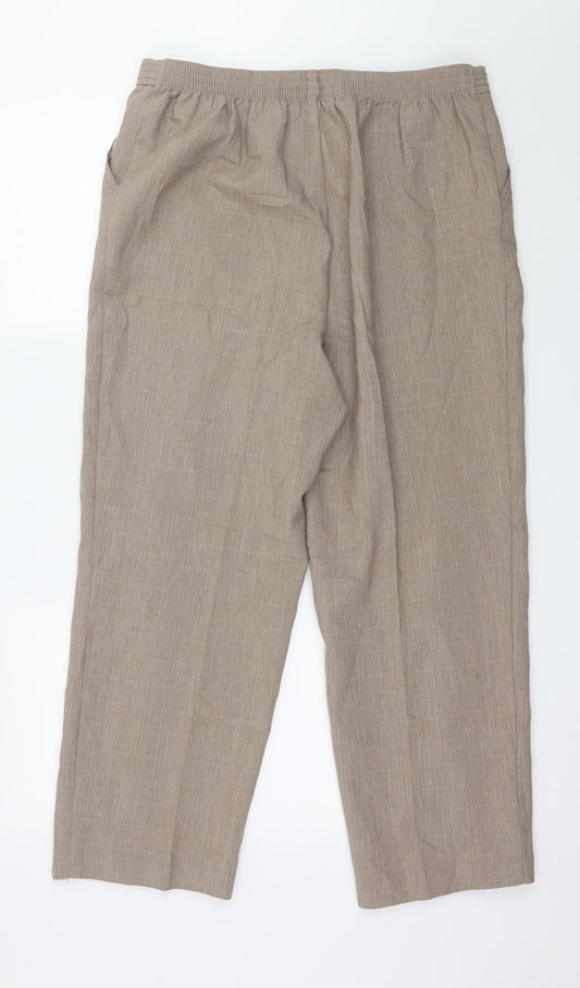 Marks and Spencer Womens Brown Trousers Size 10 L26 in