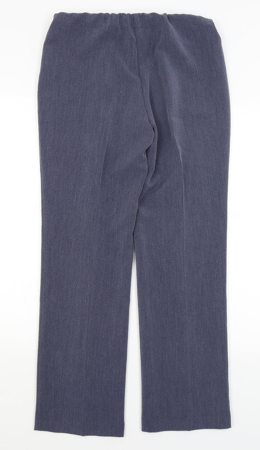 Classic Womens Blue Dress Pants Trousers Size 10 L28 in