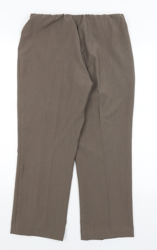 Classic Womens Brown Dress Pants Trousers Size 10 L23 in