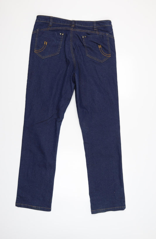 Taillissime Womens Blue Straight Jeans Size 12 L31 in