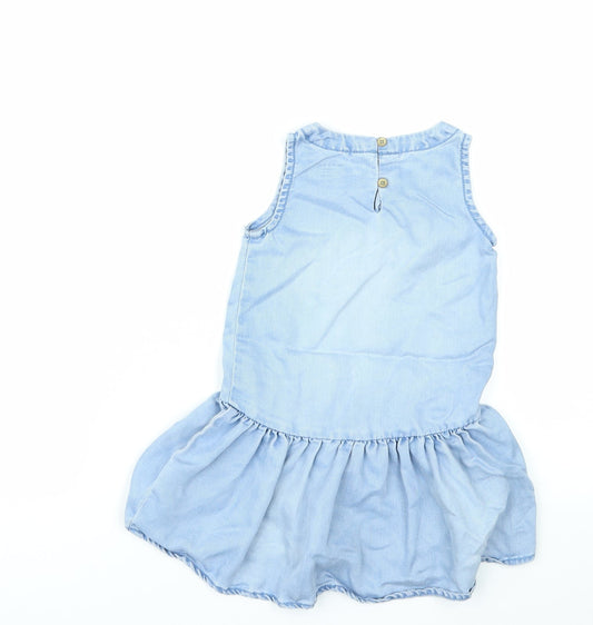 NEXT Girls Blue A-Line Size 2 Years