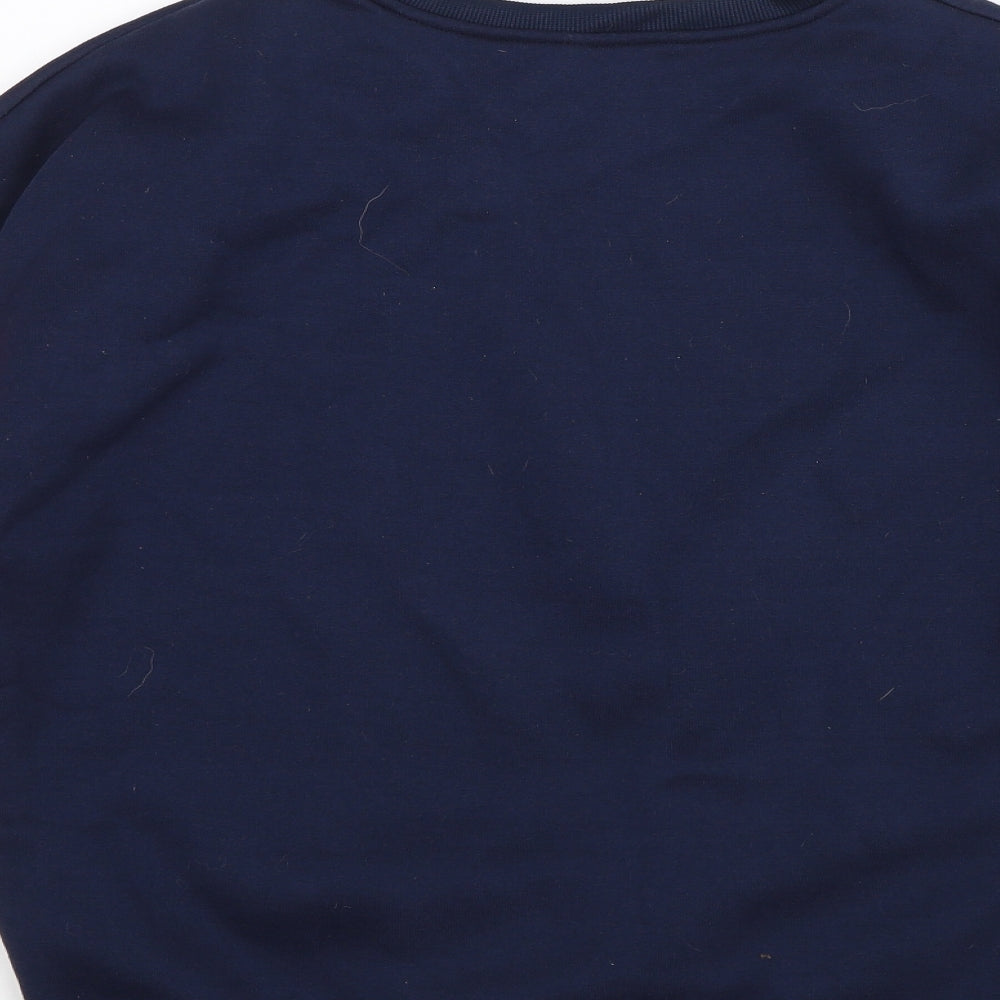 Preworn Womens Blue Pullover Jumper Size 2XL - 1 player game