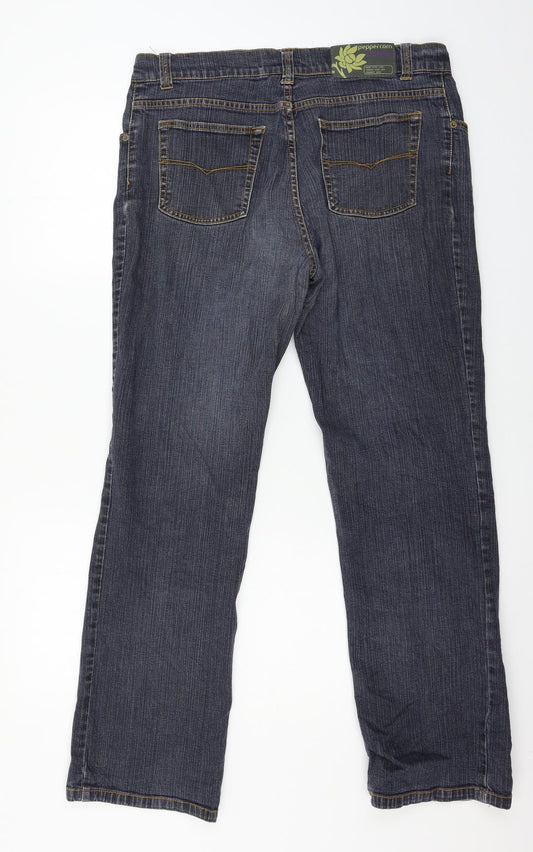 Peppercorn Womens Blue Denim Straight Jeans Size 34 in L20 in