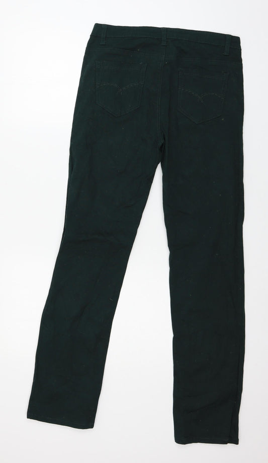 Sun Bird Womens Green Denim Straight Jeans Size 32 in L29 in