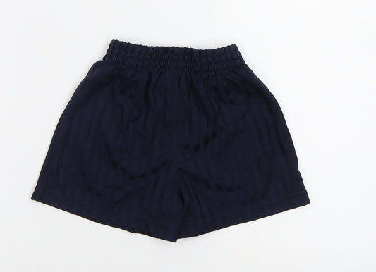 George Boys Blue Striped Sweat Shorts Size 3-4 Years
