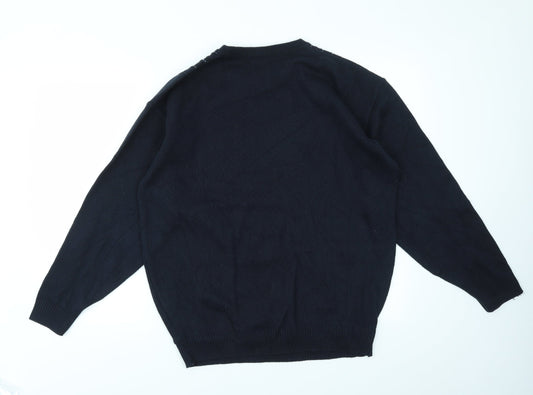 CARSON Mens Blue Pullover Sweatshirt Size L