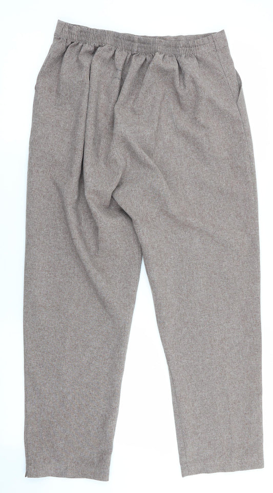 Preworn Womens Brown Trousers Size 12 L24 in