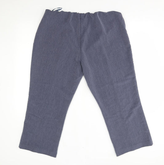 Classic Womens Blue Trousers Size 18 L24 in