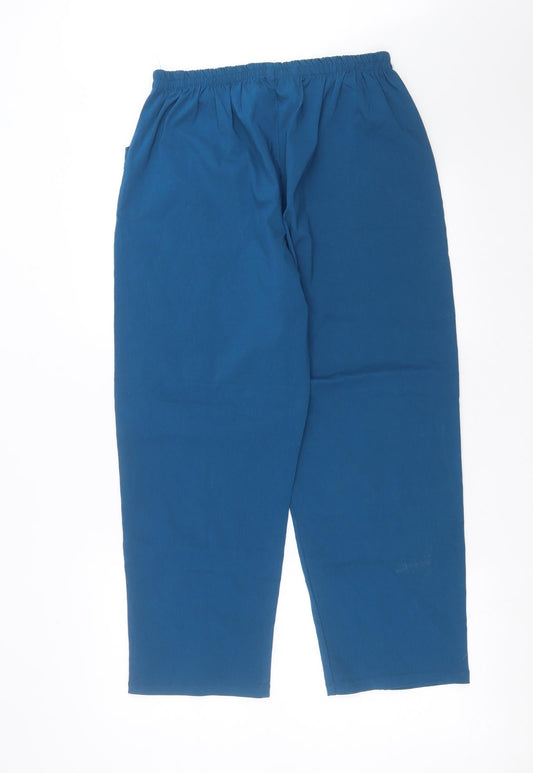 Preworn Womens Blue Trousers Size 30 in L25 in