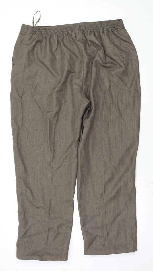 Classics Womens Brown Trousers Size 20 L27 in