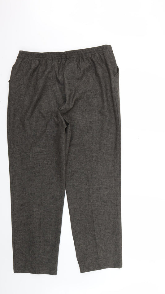 Marks and Spencer Womens Brown Trousers Size 16 L26 in