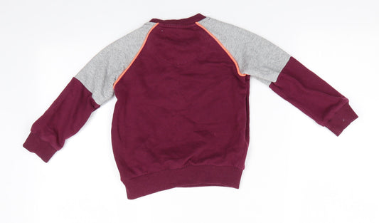 Florence and Fred Boys Purple Cotton Pullover Sweatshirt Size 3-4 Years - Awesome Dinasour